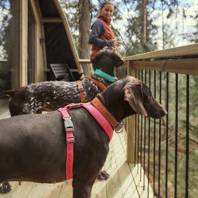 Hurtta Casual Y-hundsele ECO Raven 90–100 cm