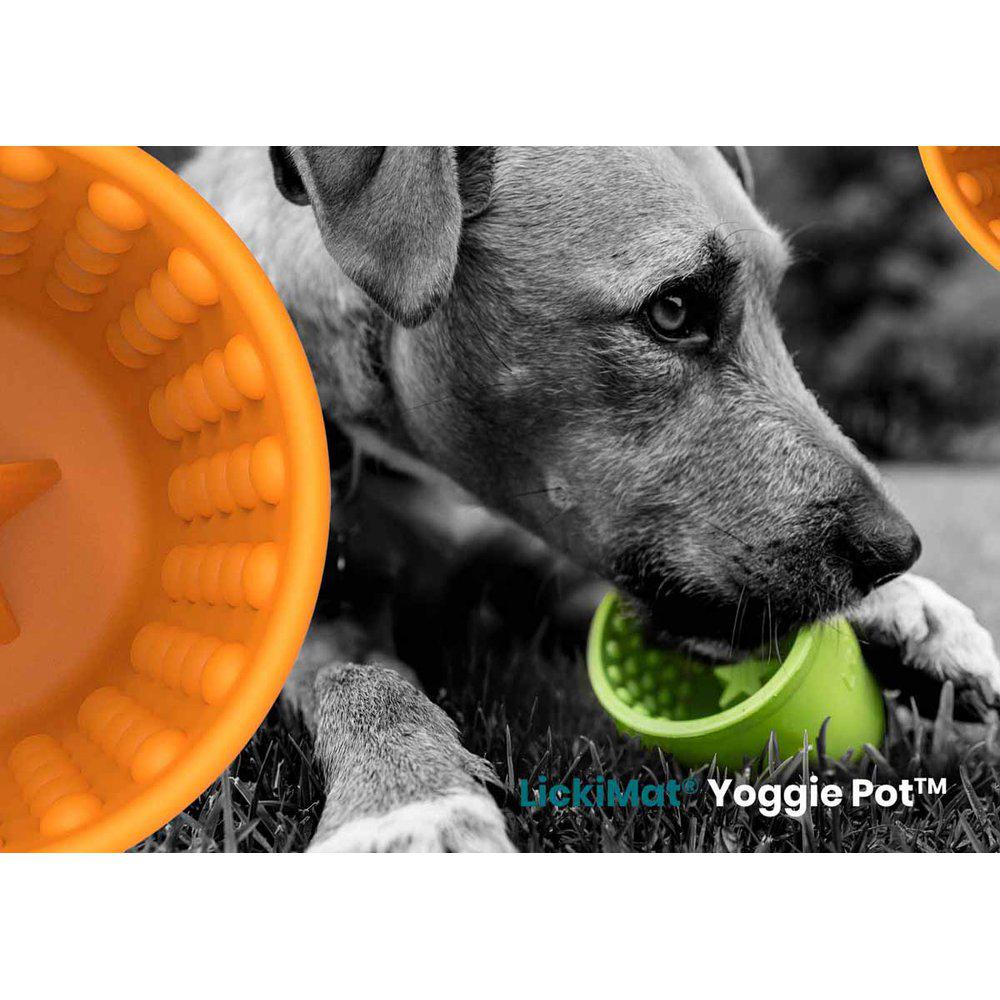 LickiMat Yoggie Pot slow feeder grön 9,5 x 9 cm